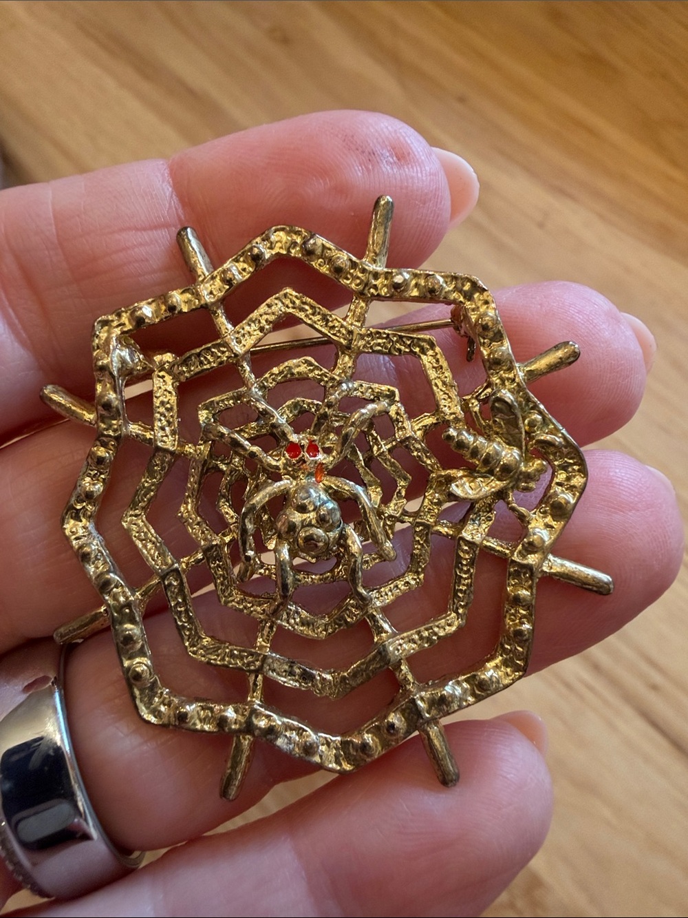 Fly in Spider Web Brooch Unsigned